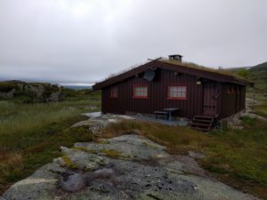 Grass-Roofed Cabin